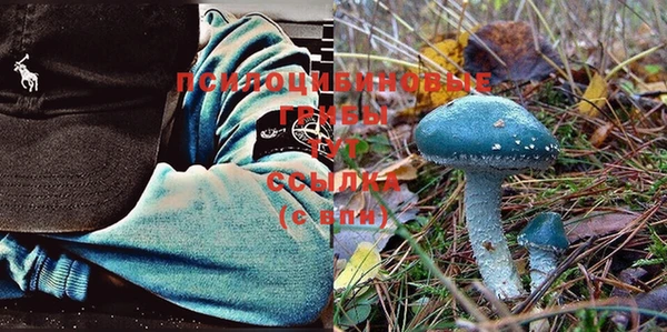 PSILOCYBIN Осинники