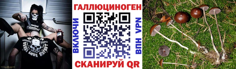 Галлюциногенные грибы мицелий Балей