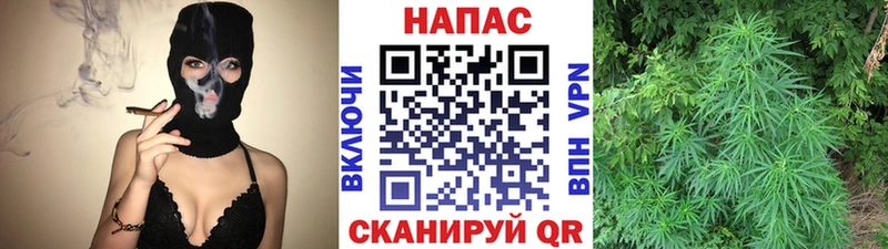 Бошки Шишки индика Балей